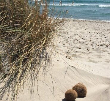 Dune_Porto_Pino_Sardegna