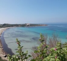 The sea, the beaches and Neptune grass