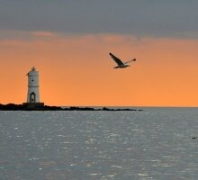 Mangiabarche: the most romantic lighthouse in the world